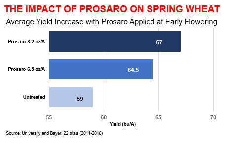 A graph showing the impact of Prosaro on spring wheat