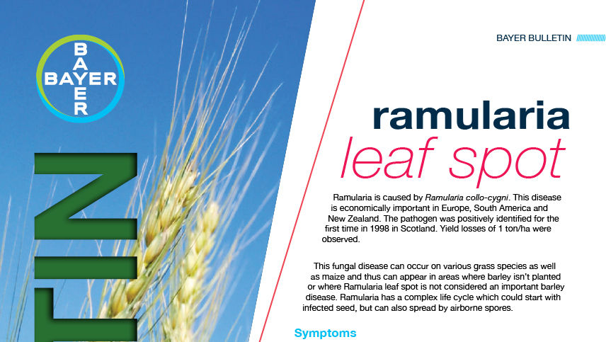 Ramularia Leaf Spot