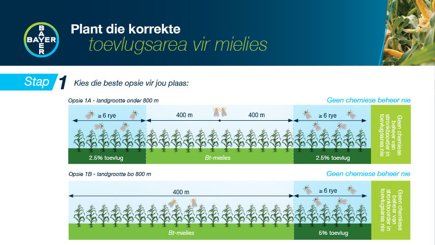 Mielies: Korrekte toevlugsarea