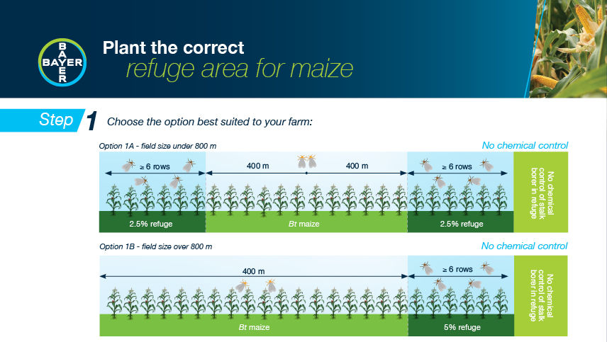 Maize Correct Refuge Areas