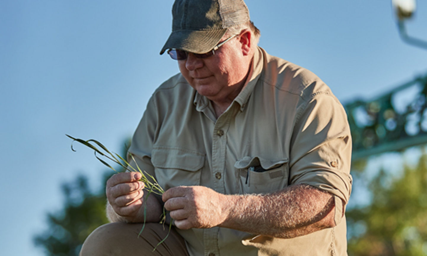 Team Up With Your Crop Adviser For Top Cereal Yields