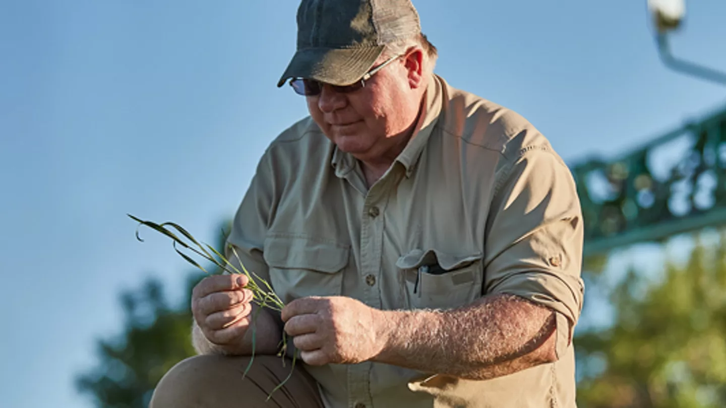 Team Up With Your Crop Adviser For Top Cereal Yields