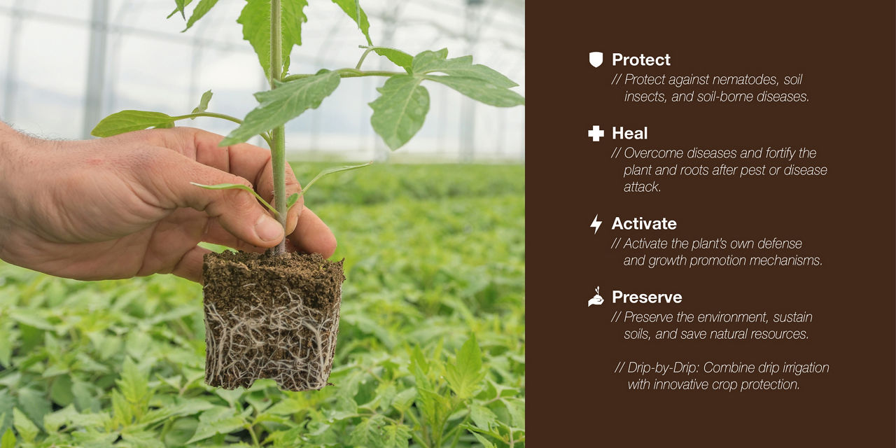 Root2Success Benefits Image