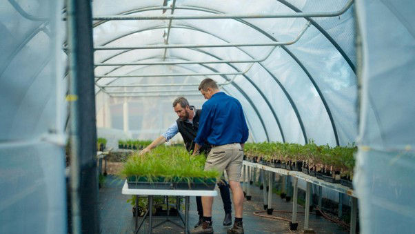 Roundup Ultra MAX with PLANTSHIELD trial results