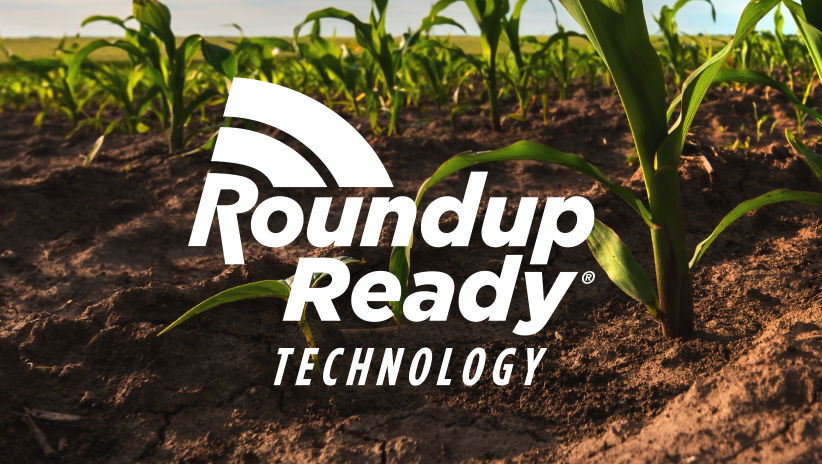 Roundup Ready Technology