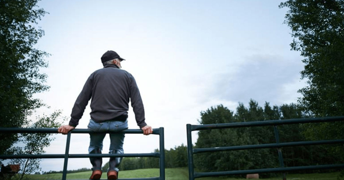 Use key performance indicators to improve your farm’s financial health 