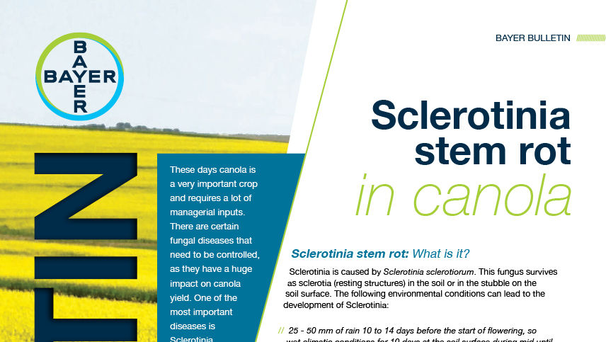 Sclerotinia in Canola