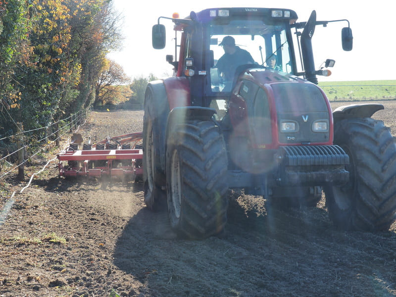 Seedbed