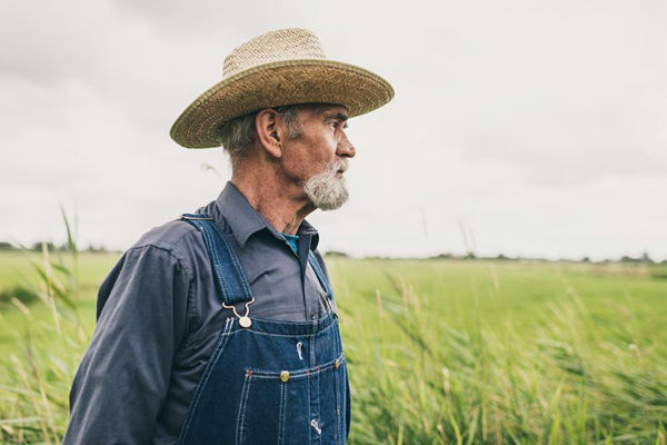 Lonely elder grower in field of crops dealing with the stresses of farming