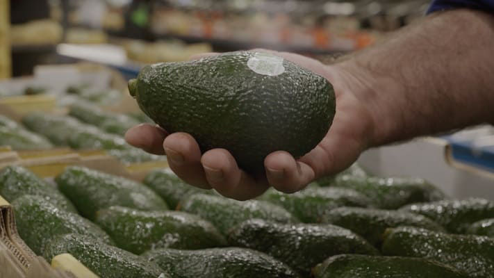 Serenade Prime can be used as both a biological fungicide and soil ameliorant, which provides for higher yields and improved shelf life.