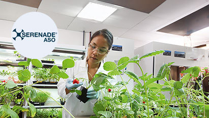Serenade ASO: Soluția Biologică Inovatoare de la Bayer pentru Protecția Plantelor