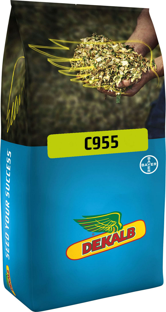 C955_C955