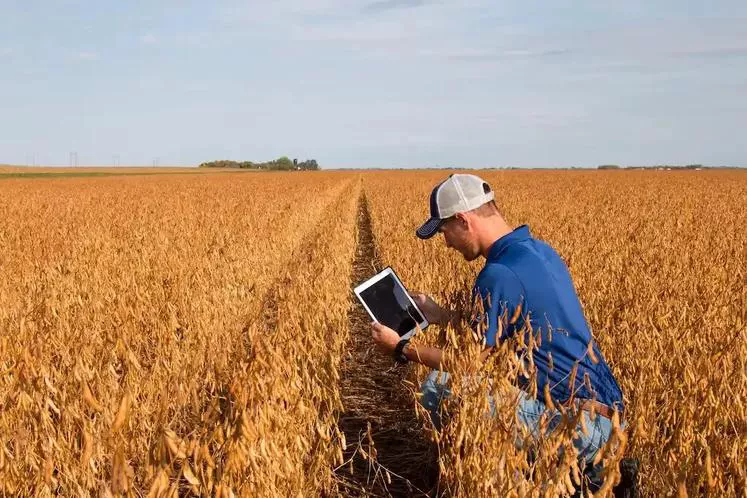 Software de agricultura digital ajudando o agricultor