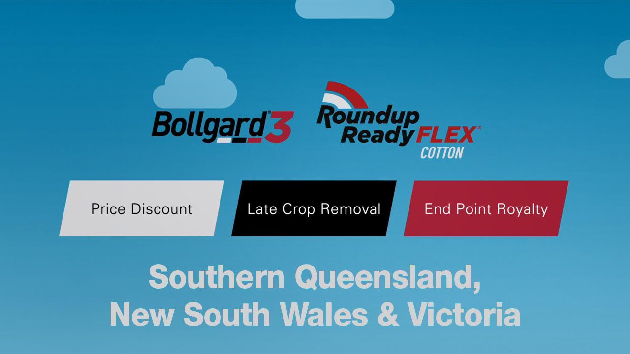 Cotton Choices in Southern QLD, NSW and VIC