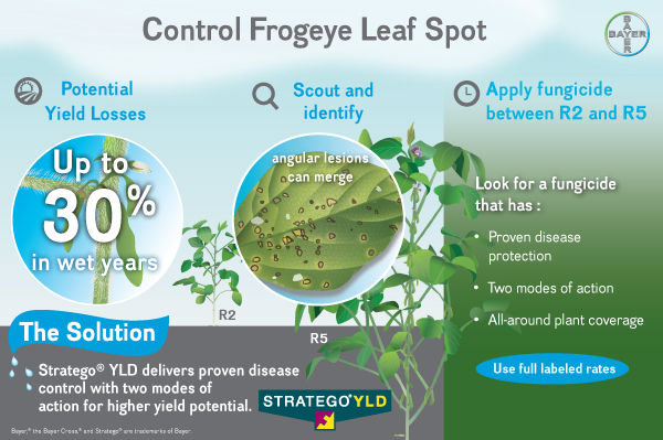 control frogeye leaf spot with Dalaro