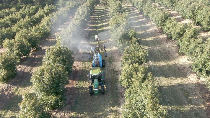 Sprayer in avocado rows