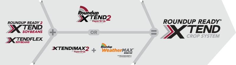 A graphic showing the application order of soybean products via product logos and arrows that move from left to right. 