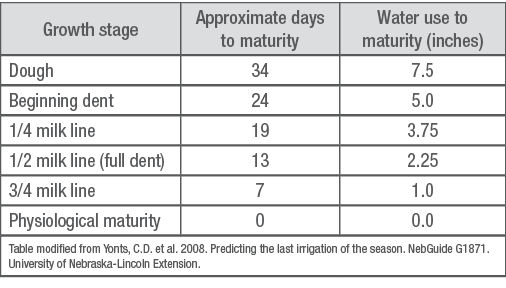 Example of water requirements for corn during the late reproductive stages through maturity. 