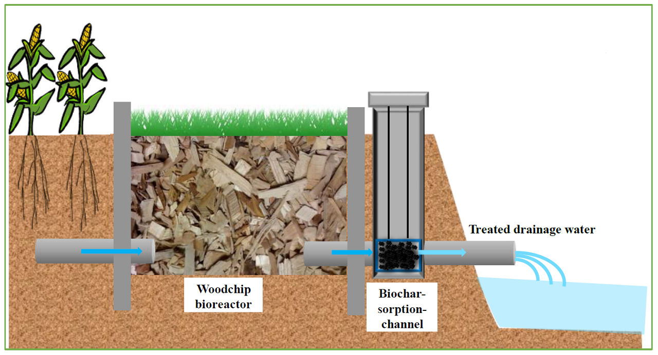 Figure 4. Woodchip and biochar bioreactor. Biochar is a carbon-rich product that absorbs and holds nitrates and other nutrients. The absorption helps reduce the amount of nutrients flowing into the ditch or stream. The biochar can be periodically removed and spread on the field where the nutrients are released and become available for crop use. Diagram courtesy of and used with the permission of Dr. Wei Zheng at the University of Illinois at Urbana-Champaign. 
