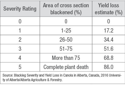 Canola - Yield loss estimate by severity rating.