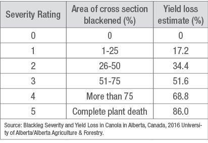 Canola - Yield loss estimate by severity rating.