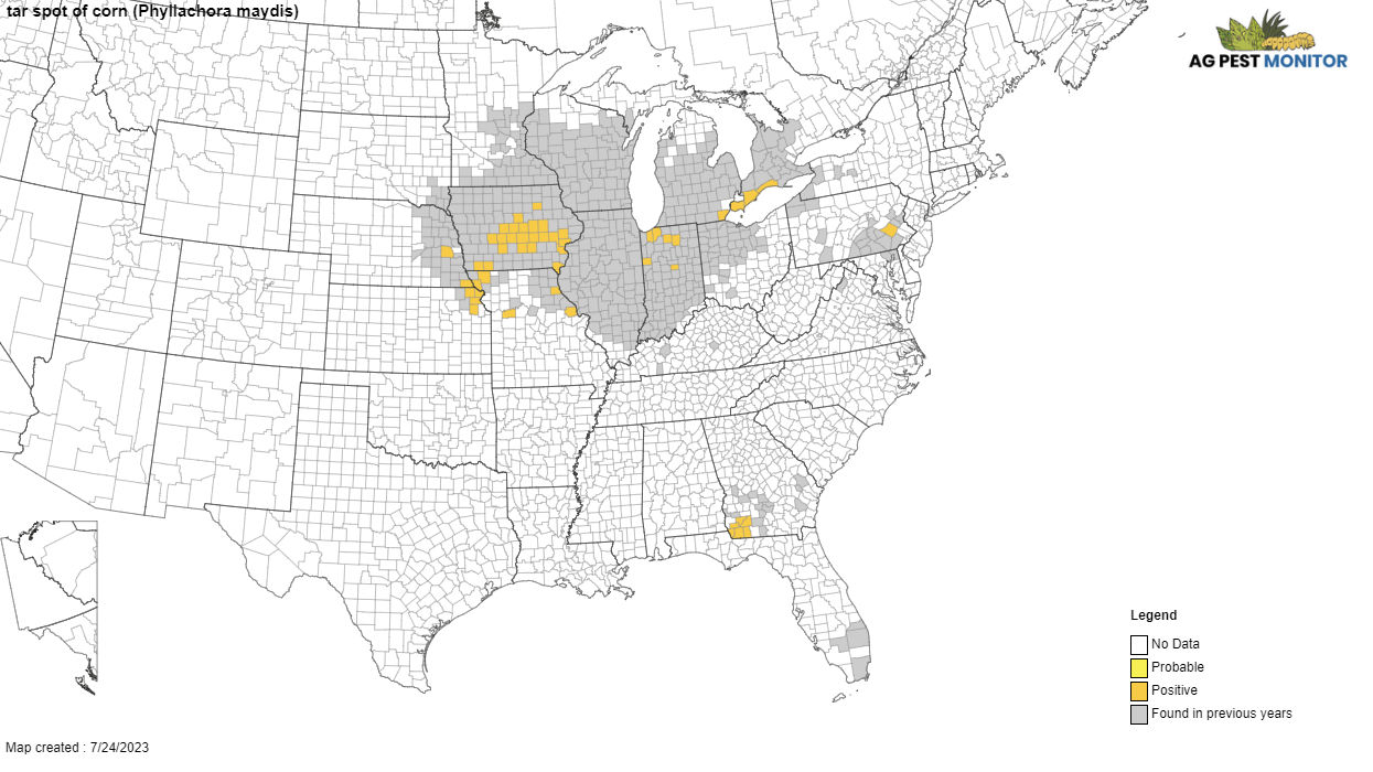 A map of current and previous tar spot infected areas as of July 2023.