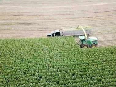 Chopping silage
