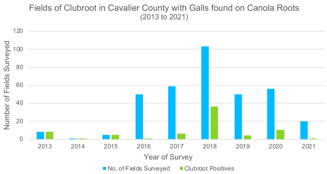 Fields with visual clubroot galls in the survey done from 2013 to 2021 for the prevalence of clubroot in Cavalier Country, North Dakota, US.12 
