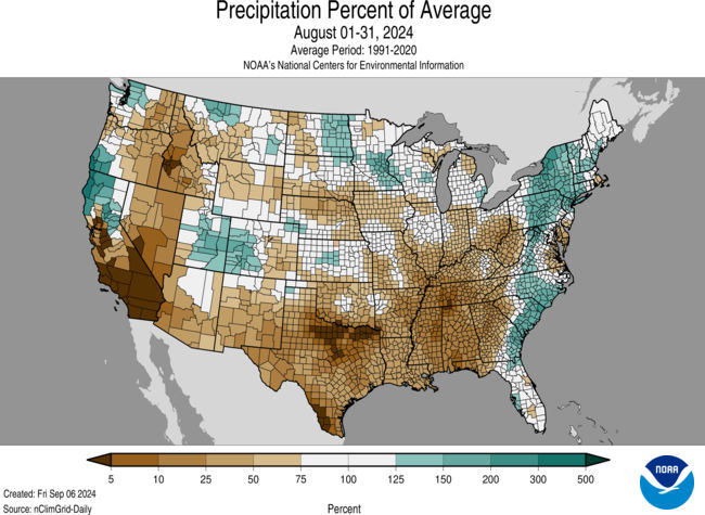 Precipitation percent of average data for the United States for August 2024. 
