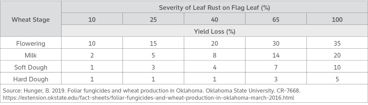 Percent yield loss regarding severity of leaf rust and wheat growth stage.3 
