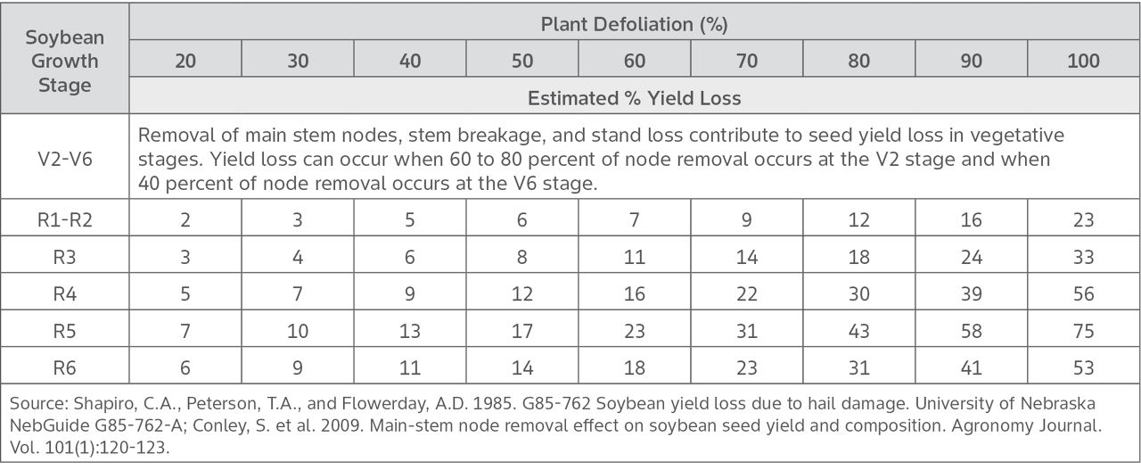 Table 1. Estimated soybean yield loss from plant defoliation. 
