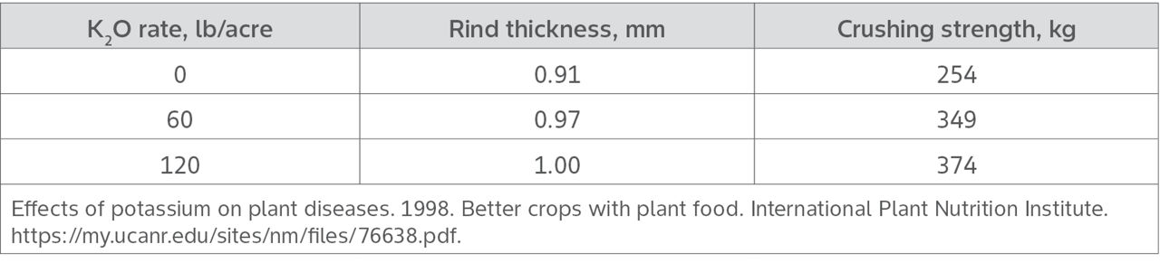 Effect of K fertilization on stalk strength and rind thickness.