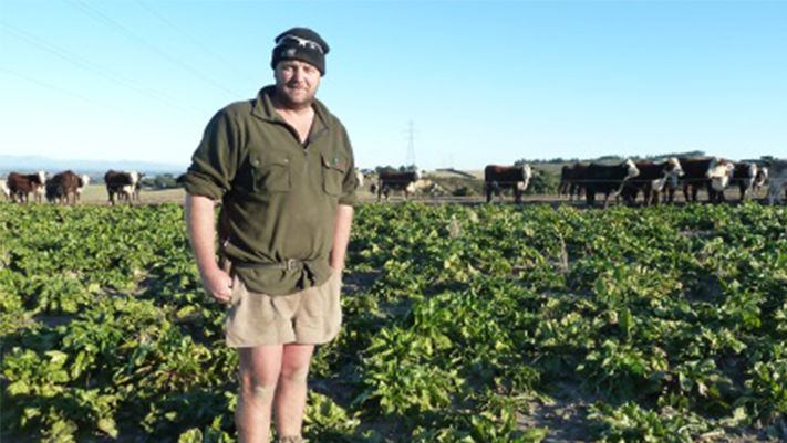 Tim Molloy, Rangiora