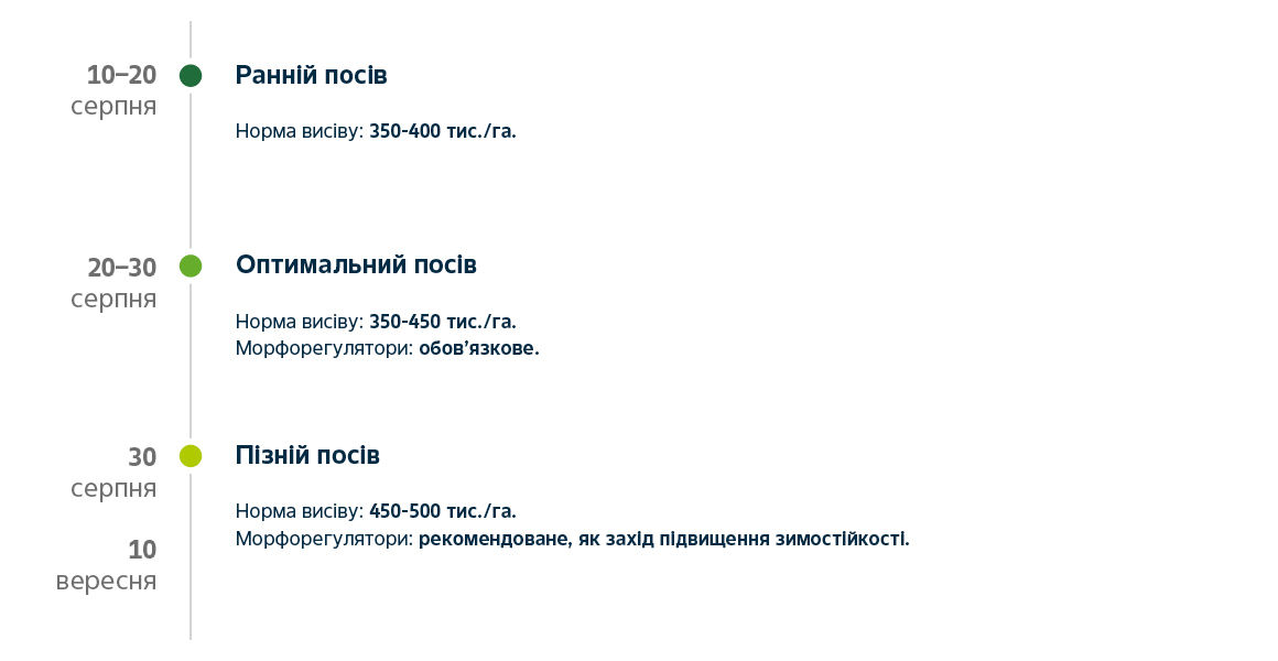 timeline Exima