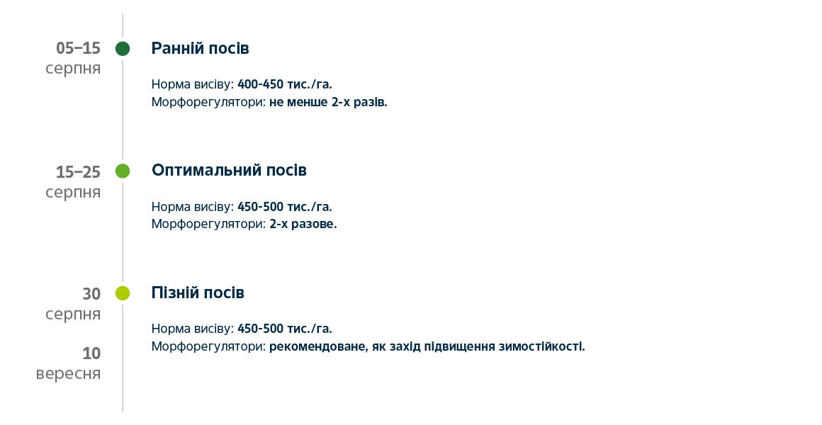 timeline Expectation