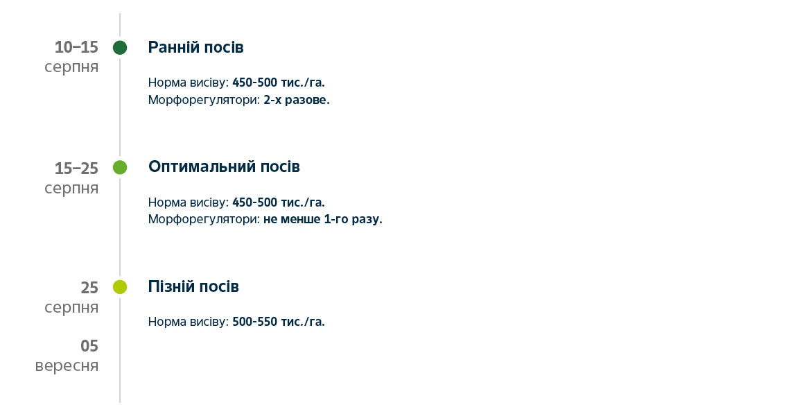 timeline Imove