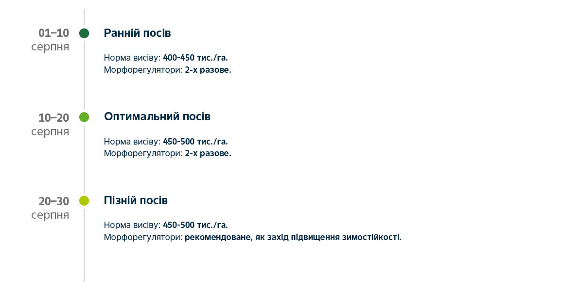 timeline Placid