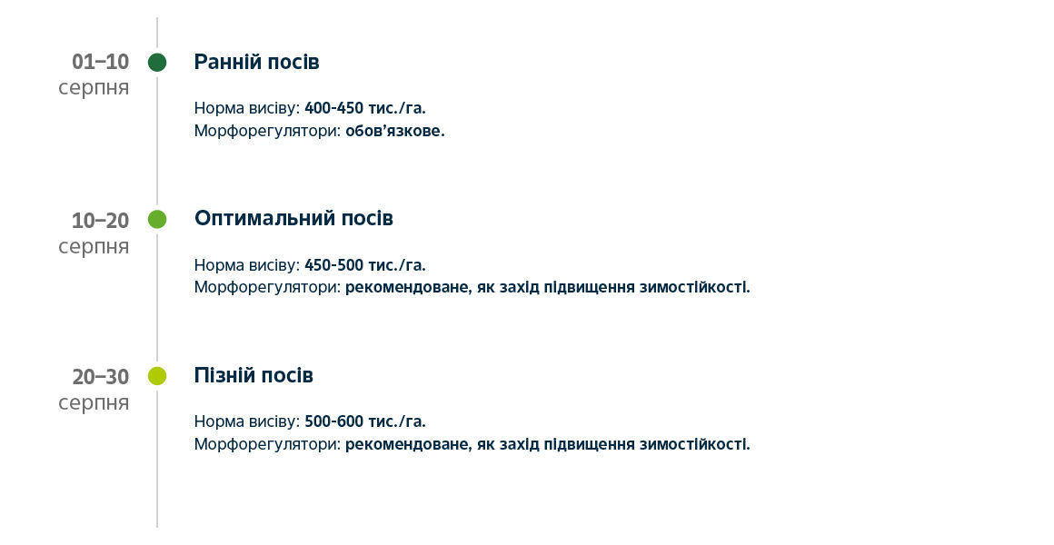timeline Sequel