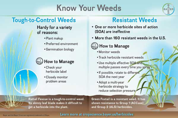 Tough vs Resistant Weeds