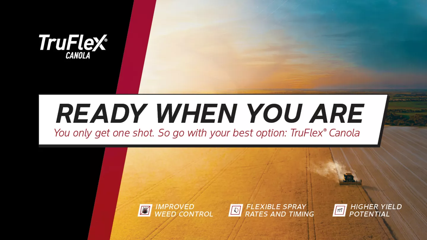 TruFlex® canola