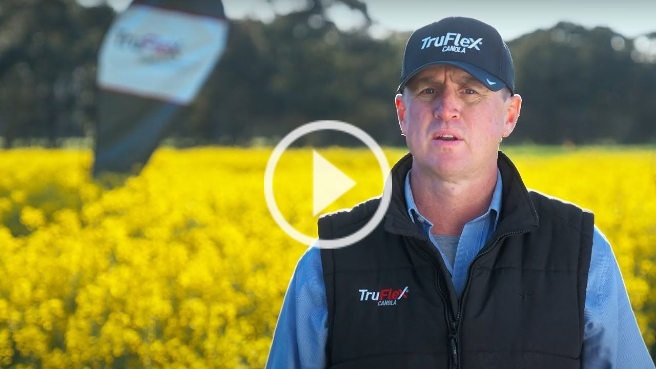 Truflex® canola spray programs
