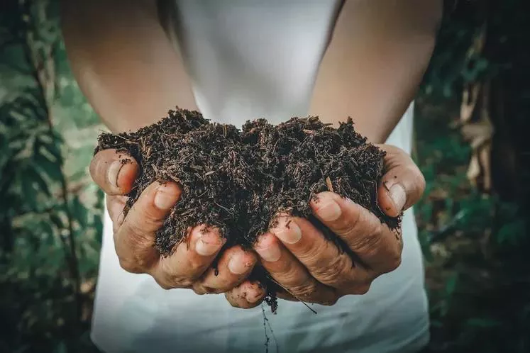 Utilizar insumos orgânicos é importante para o futuro da agricultura