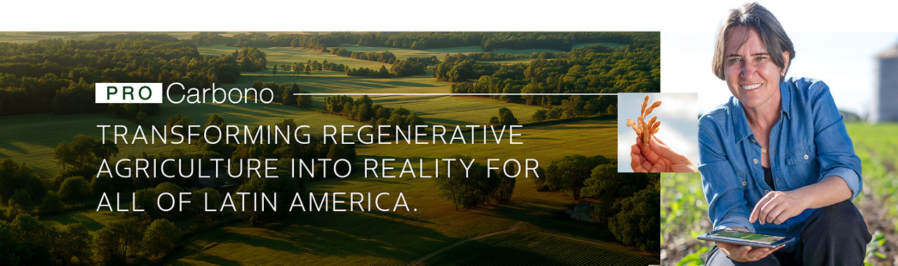 PRO Carbono - Transformando a agricultura regenerativa em realidade para toda a América Latina.