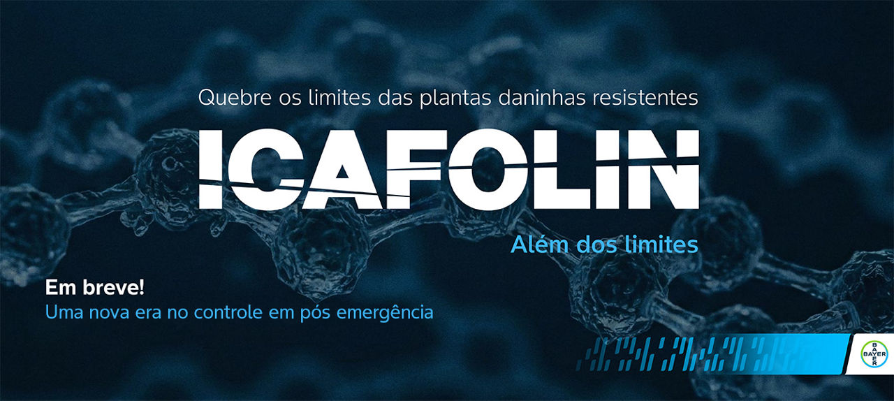 Evento Bayer