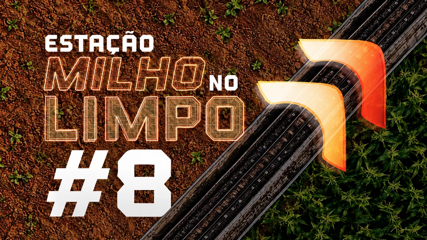 milho limpo 8