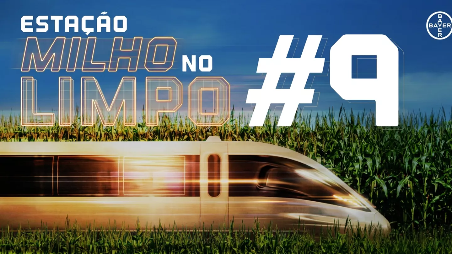 milho limpo 9