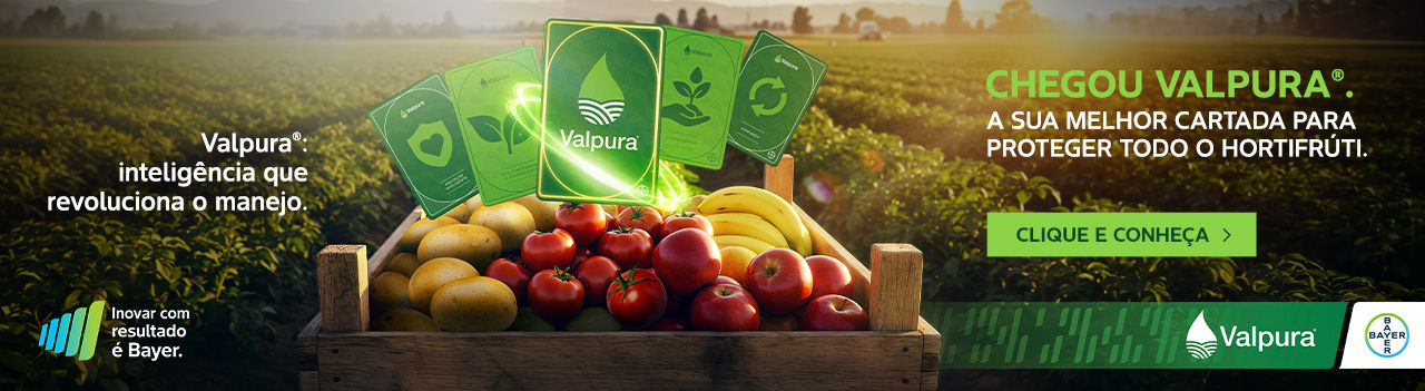  M 6288 i2x | Agro Bayer 