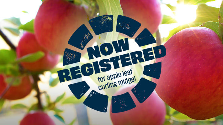 Vayego now approved to control Apple Leaf Curling Midge, Leaf Roller and Garden Weevil
