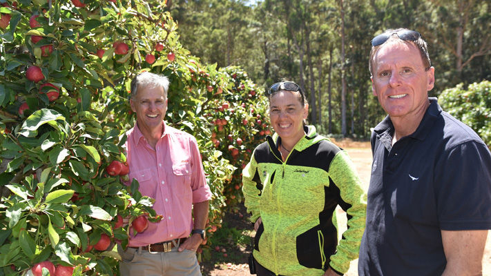Dave Stewart, Elders WA Horticulture Specialist, Bec Whittaker, Farm Manager at Ladycroft Orchard, near Manjimup, and Ian Cook, Horticulture WA Territory Business Manager with Bayer take a closer look at the apple tree crop at the property.