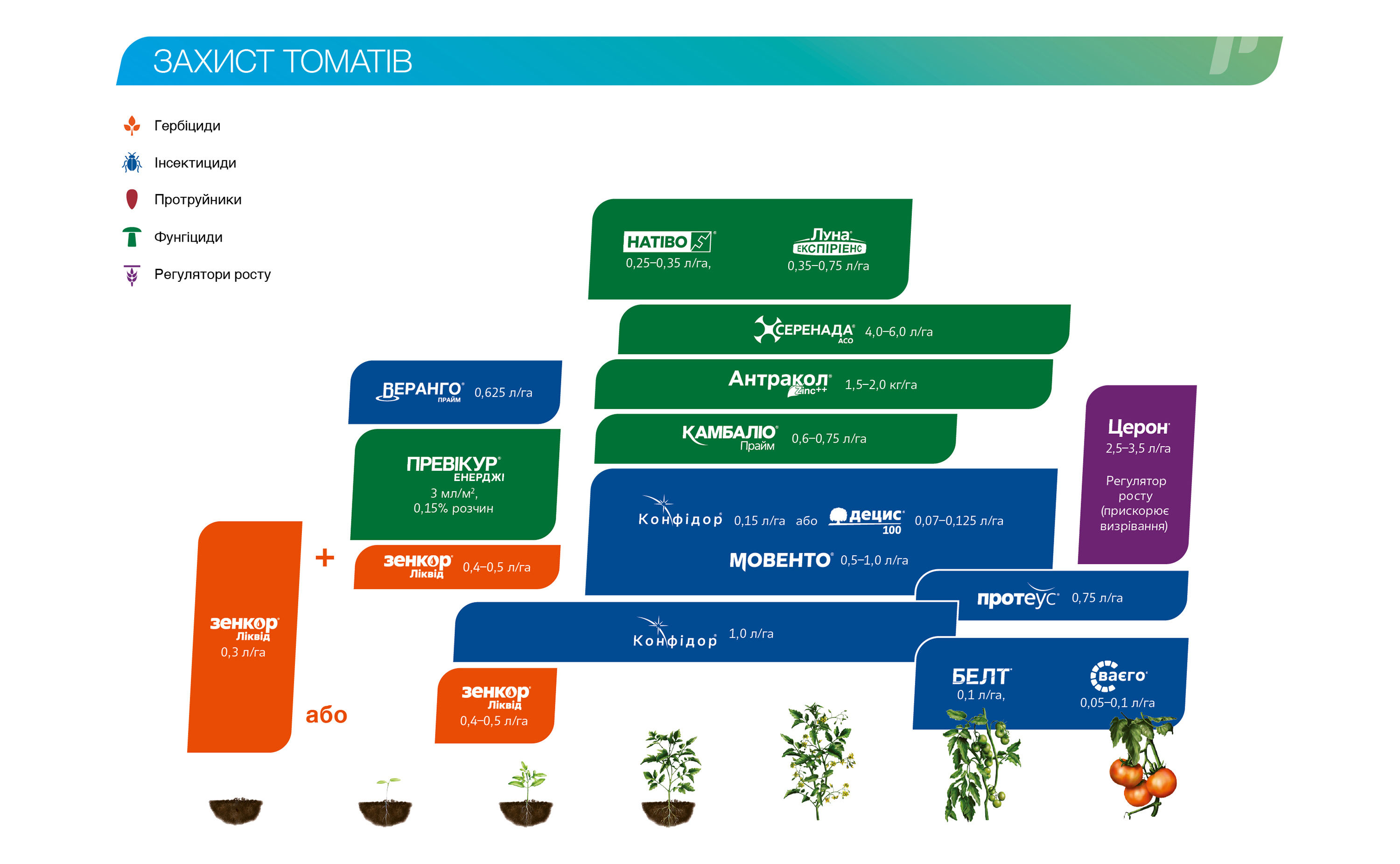 vegetables